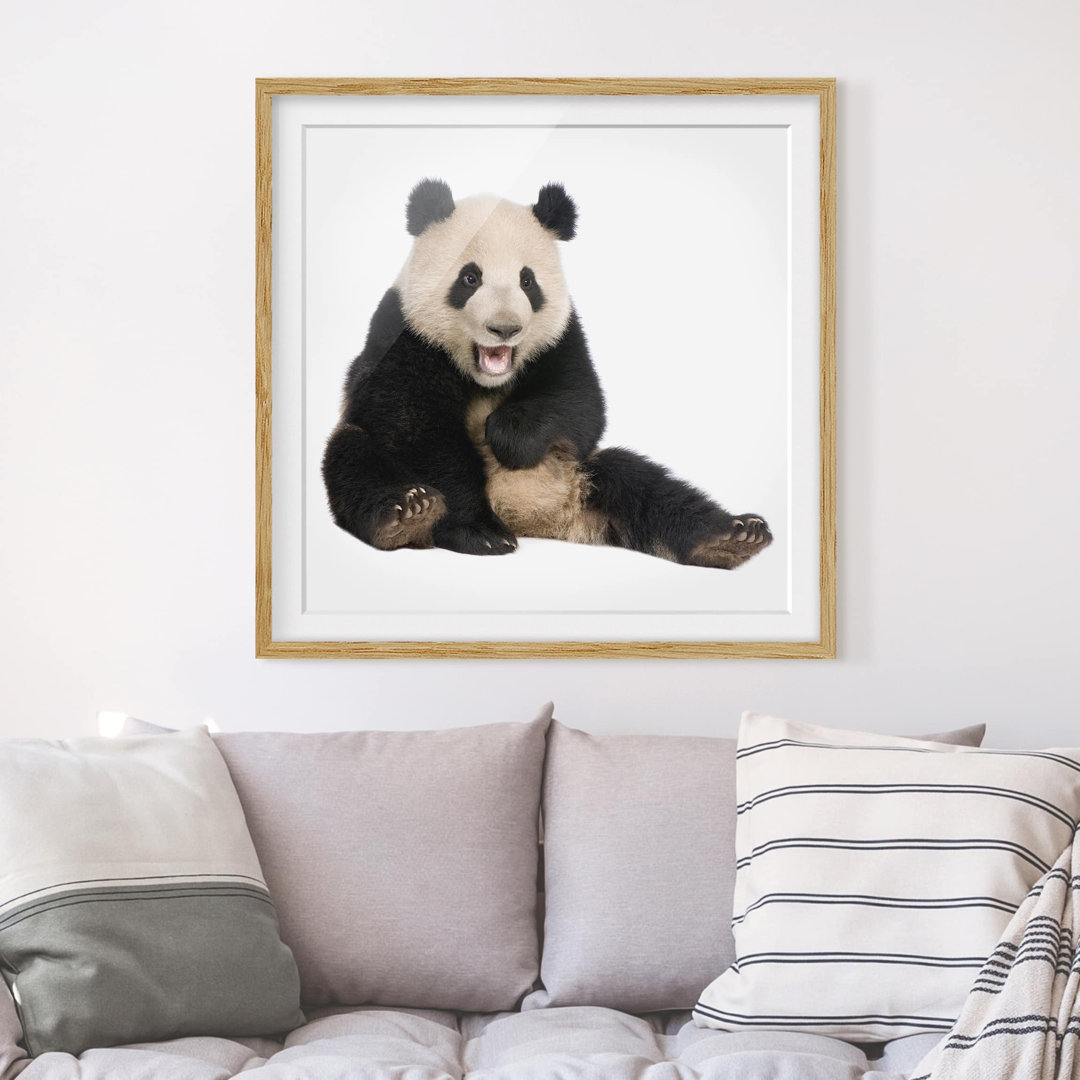 Gerahmtes Papierbild Lachender Panda