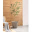 CISTUS Pot Planter