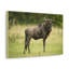 No Frame Print on Canvas-874145331