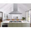 Zephyr Siena Pro 48 in. 1200 CFM Island Mount Range Hood with LED Lighting in Stainless Steel