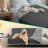 Polyester Pet Blanket-94897895-94897898