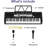 61-Key Portable Keyboard Piano, with Detachable Microphone, Charger, Electric Keyboard Teaching