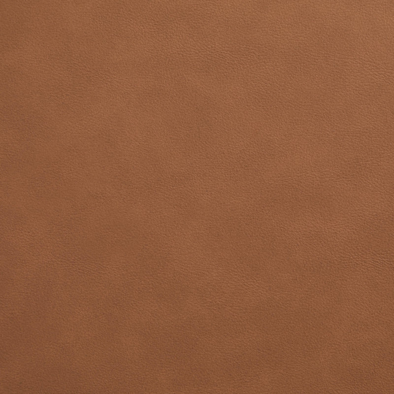 Chaise rembourrée en cuir Eligah, Teinture naturelle / laiton brossé, Cuir cognac végétalien