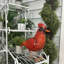 Grande statue de cardinal en métal