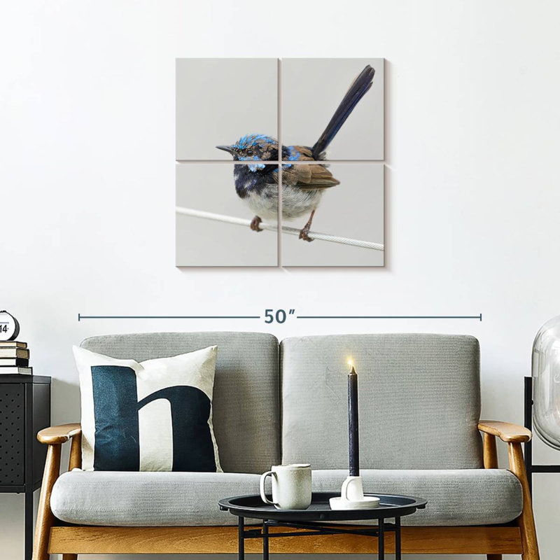 Brampt Bluebird Close Up, 26" H x 26" W