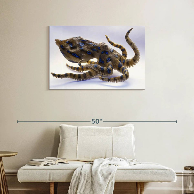 Model Of Blue Ringed Octopus, 24" H x 36" W