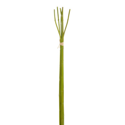 110 cm H Faux Bamboo Branch Plant