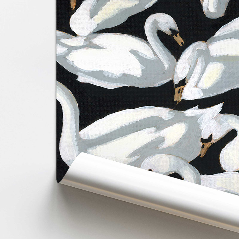 Swan Ballet en noir et blanc, H 20 po x l 16 po, Sans cadre
