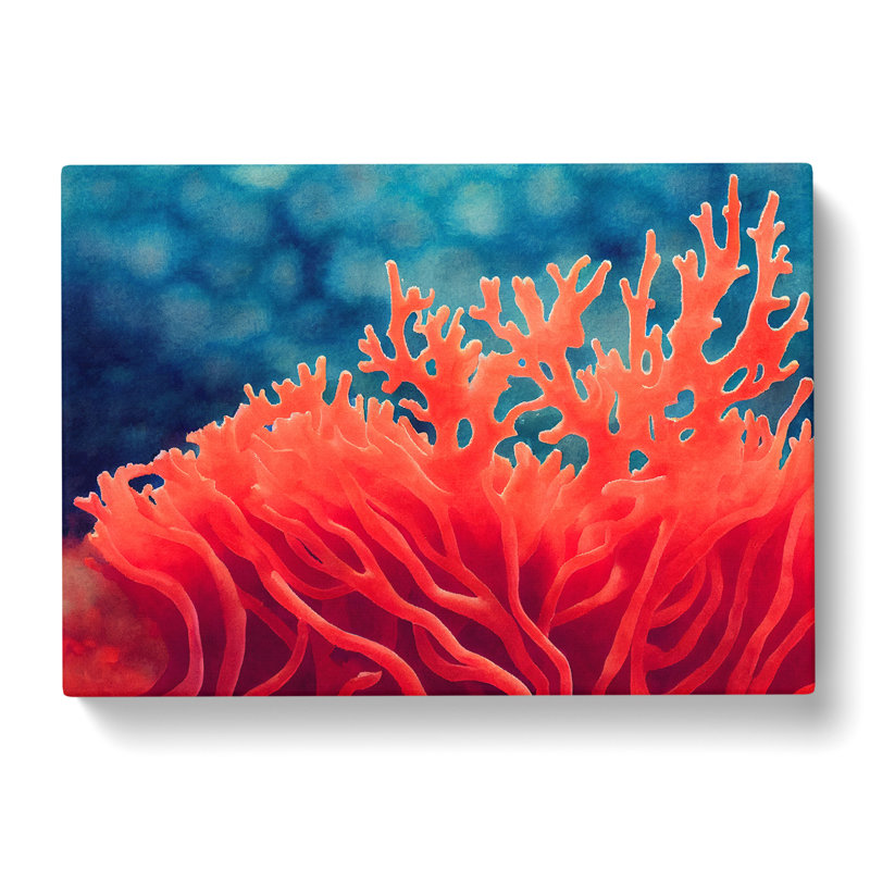 Coral Reef Vol.1 - Wrapped Canvas Print, 35cm H x 50cm W x 3cm D