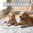 Elegant Modern Machine Woven Area Rug in Grey-858662461