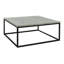 Paris Solid Coffee Table-28638696-28638697