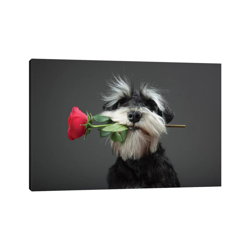 Tango Dancer by Adnan Mahmutovic - Wrapped Canvas Print, 101.6 cm H x 66.04 cm W x 1.91 cm D