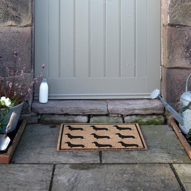 Carrigan Non-Slip Outdoor Doormat