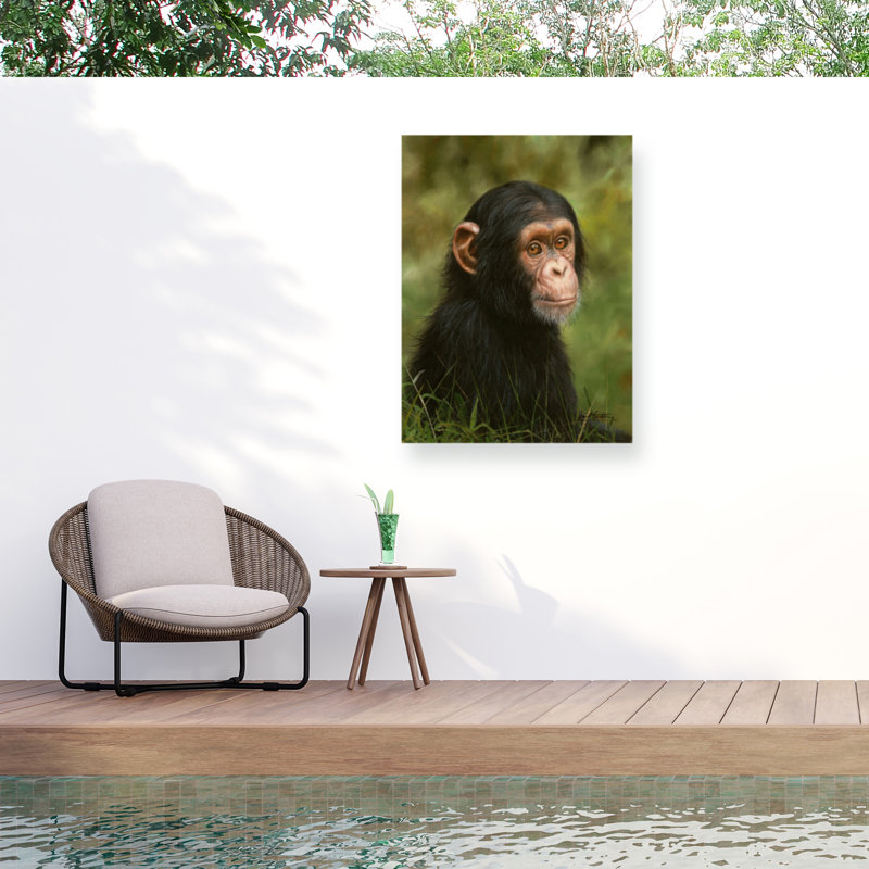 Toile d'extérieur David Stribble Chimp, H 14 po x l 19 po