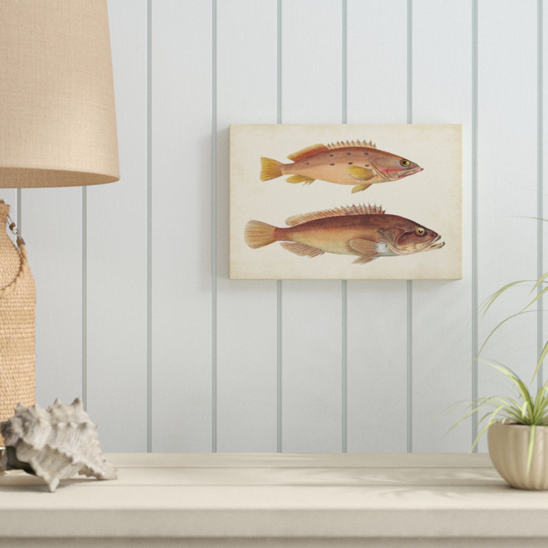 «Antique Fish Species I», peinture sur toile, H 8 po x l 12 po