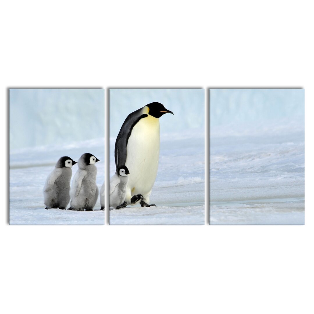 3-tlg. Leinwandbilder-Set Kaiserpinguine im Schnee