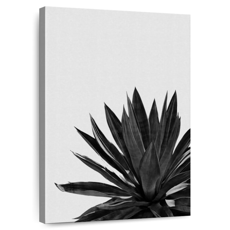 Harnek Agave Cactus BW, 24" H x 16" W