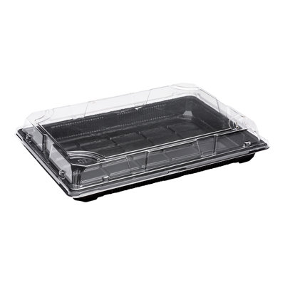 Roku Disposable Tableware
