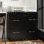 Jye 74 cm W 2 -Drawer Filing Cabinet-2030297055