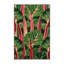  Tapis lavable en légumes Rhubarb-1573154298