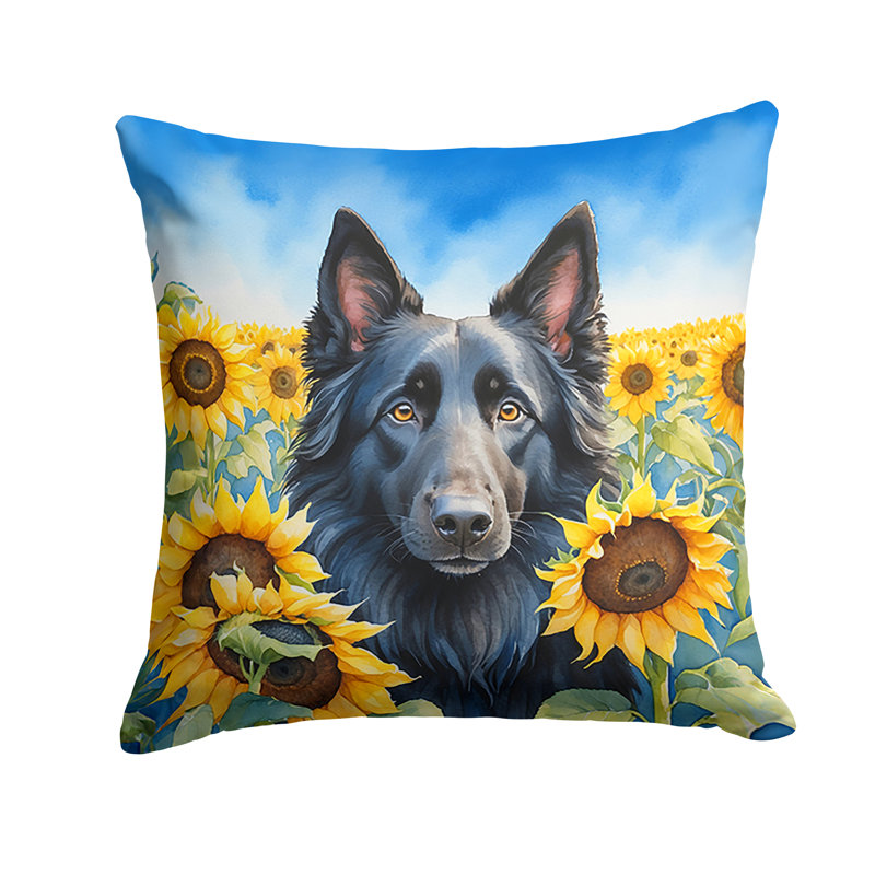 Coussin décoratif intérieur / extérieur Autre / Sans motif, H 18 po x l 18 po