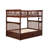 Flinn Kids Bunk Bed with Trundle-1051760526-1051760533