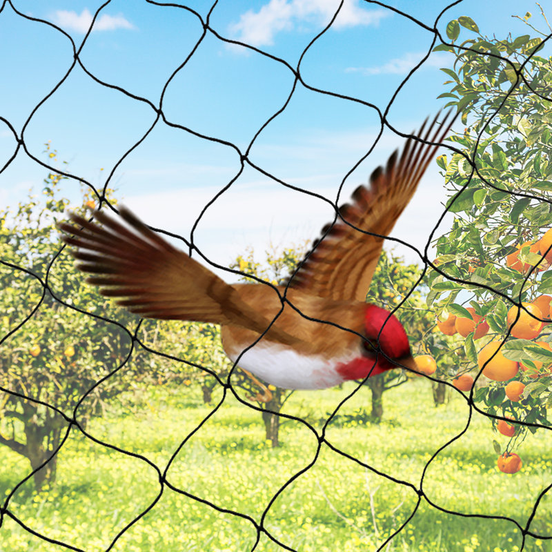 Crop Orchard Net Bird Netting, 591"H x 1181" W