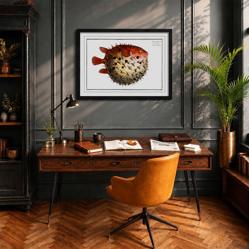 Prickly Blowfish by M.E. Bloch - Framed Print, Black, 60cm H x 91cm W x 2cm D
