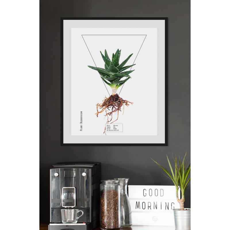 Plant - Single Picture Frame Print