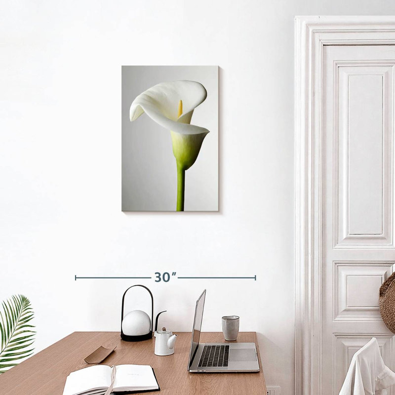 Harnek Fresh Calla Lily, 24" H x 16" W