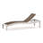 Bazza Outdoor Metal Chaise Lounge-19565351-19565345-19565315