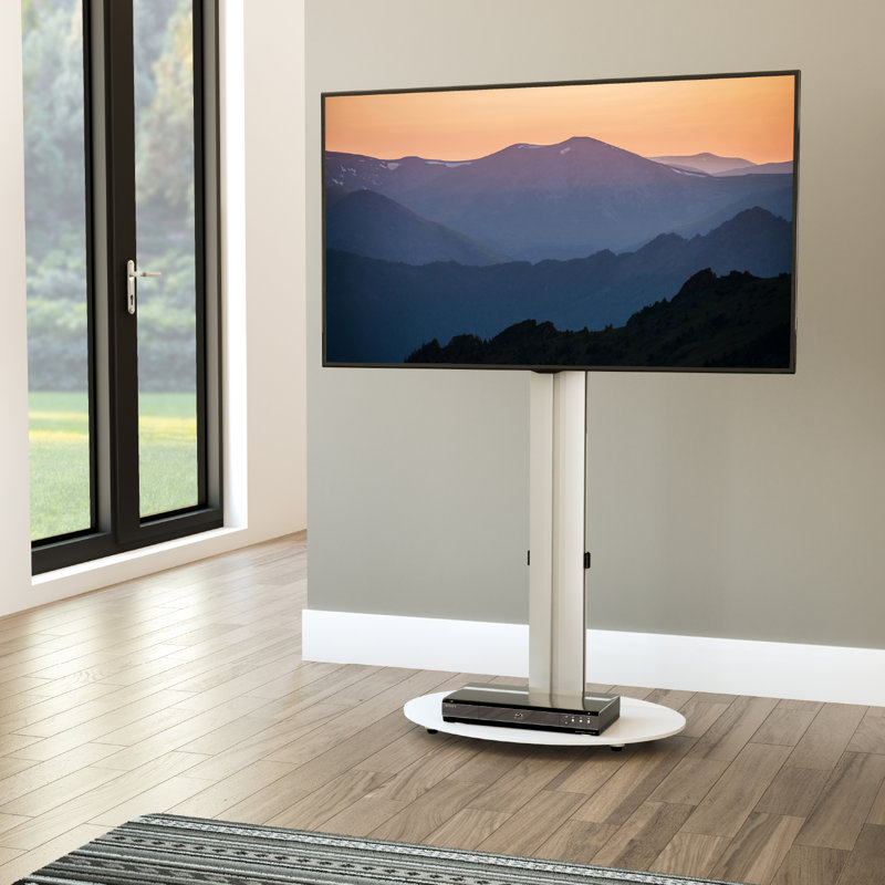 Castaner TV Stand for TVs up to 55", Silver/White