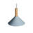 Emblem 1 - Light Single Pendant-74747934-94655711-107231802