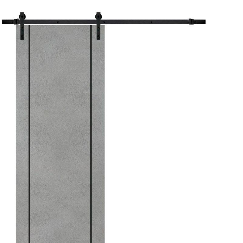 Porte de grange en bois massif massif, 24 po x 84 po