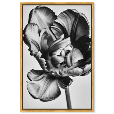 Graphite Flower Print by Oliver Gal