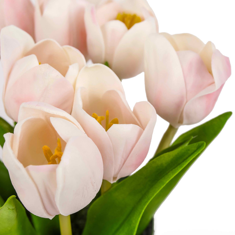 Bouquet de tulipes, Rose