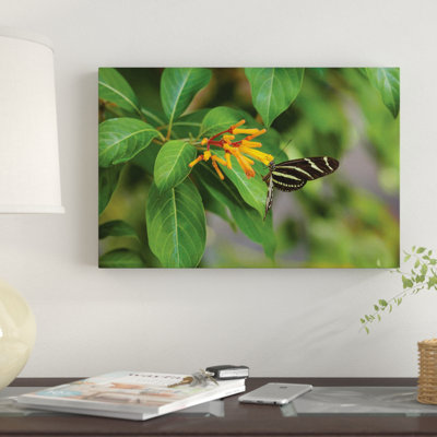 Reproduction de photo sur toile, "reverse of zèbre longwings (heliconius charithonia) à papillon de fleurs, floride, états-unis