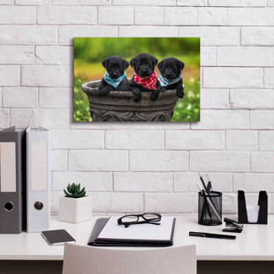 «Black Lab Pups 8 on Canvas» par Jonathan Ross, reproduction