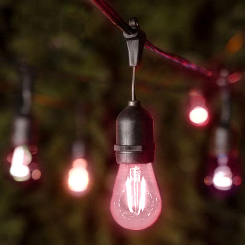 Pink Patio Bulbs (4300-F) - Sold in packages of 12