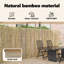 Bamboo Fence