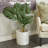 36'' Faux Monstera Tree in Pot