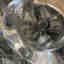 Photos des clients 2 de 13