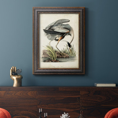 Great Blue Heron - Toile encadrée de qualité supérieure - prête à être accrochée