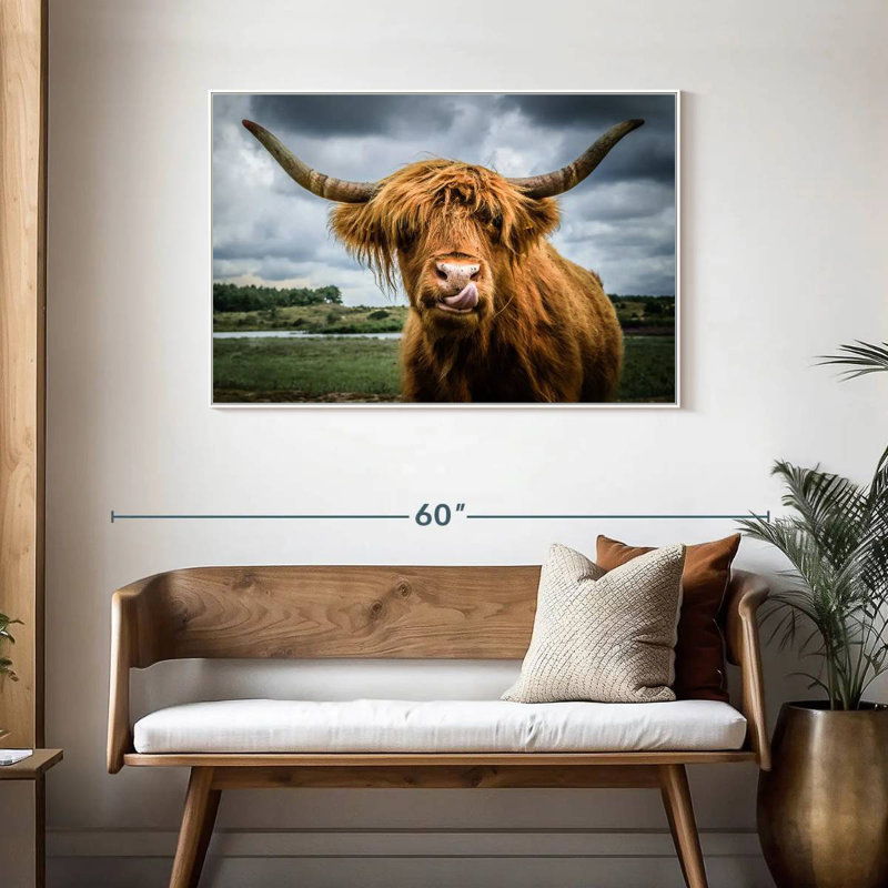 Silly Highland Cow, Cadre flottant blanc, 43 po x 29 po