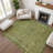 Premium Machine Washable Lucchesi AMF1762 Border Rug-475818525