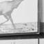 «Elk Trotting» par Ead vêtementsd Muybridge, reproduction encadrée texturée encadrée à la main-123222667