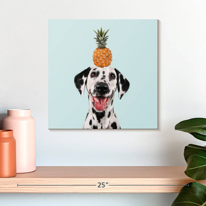 Crowle ananas sur dalmatien, H 16 po x l 16 po