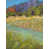 Wrapped Canvas