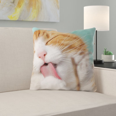 Coussin pour chat