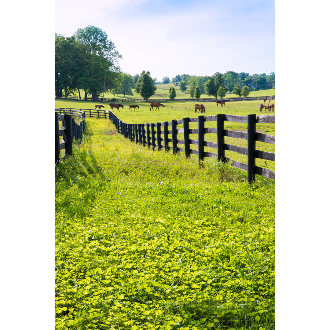 Horses At Horse Farm by Volgariver - Wrapped Canvas Print
